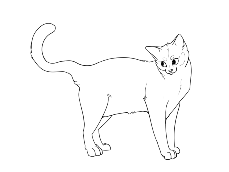 adolescent cat linework!