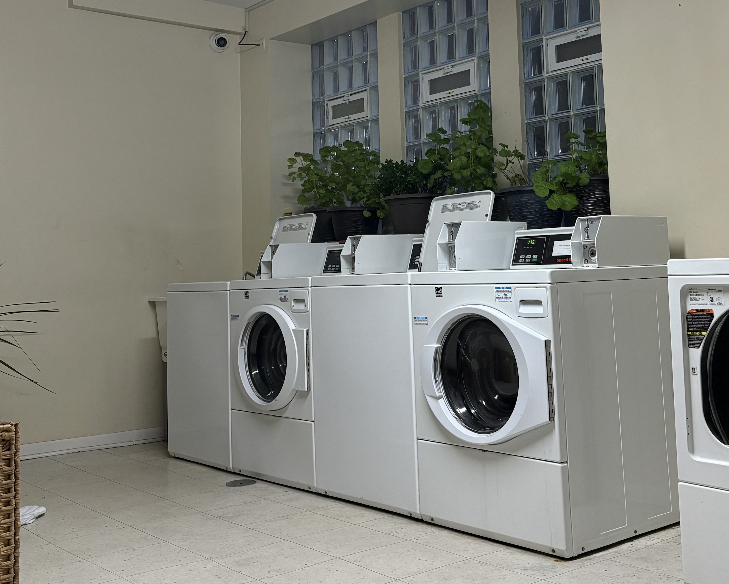my building's laundry room!