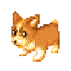 corgi!